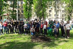 Посадки в рамках крупнейшей программы по озеленению города — акции «Миллион деревьев» — состоялись на днях во дворах домов № 18/5 по улице Тихвинской и № 8 по улице Стрелецкой. Здесь посадили спиреи, сирень, розы, липы, яблони, ивы, аронию, барбарис, дере