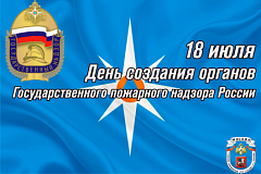 История развития и становления госпожнадзора 